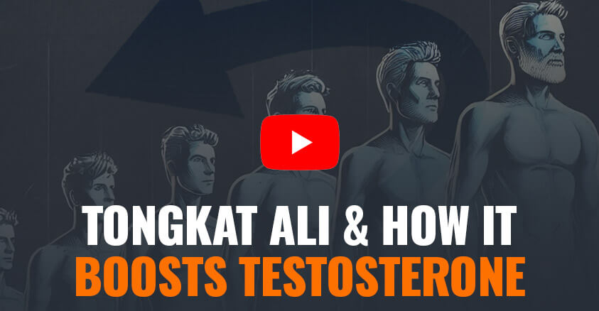 tongkat ali boosts testosterone levels